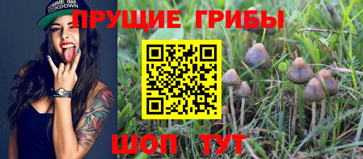 Выкса  Галлюциногенные грибы мицелий  купить наркотики цена  Вход с VPN 